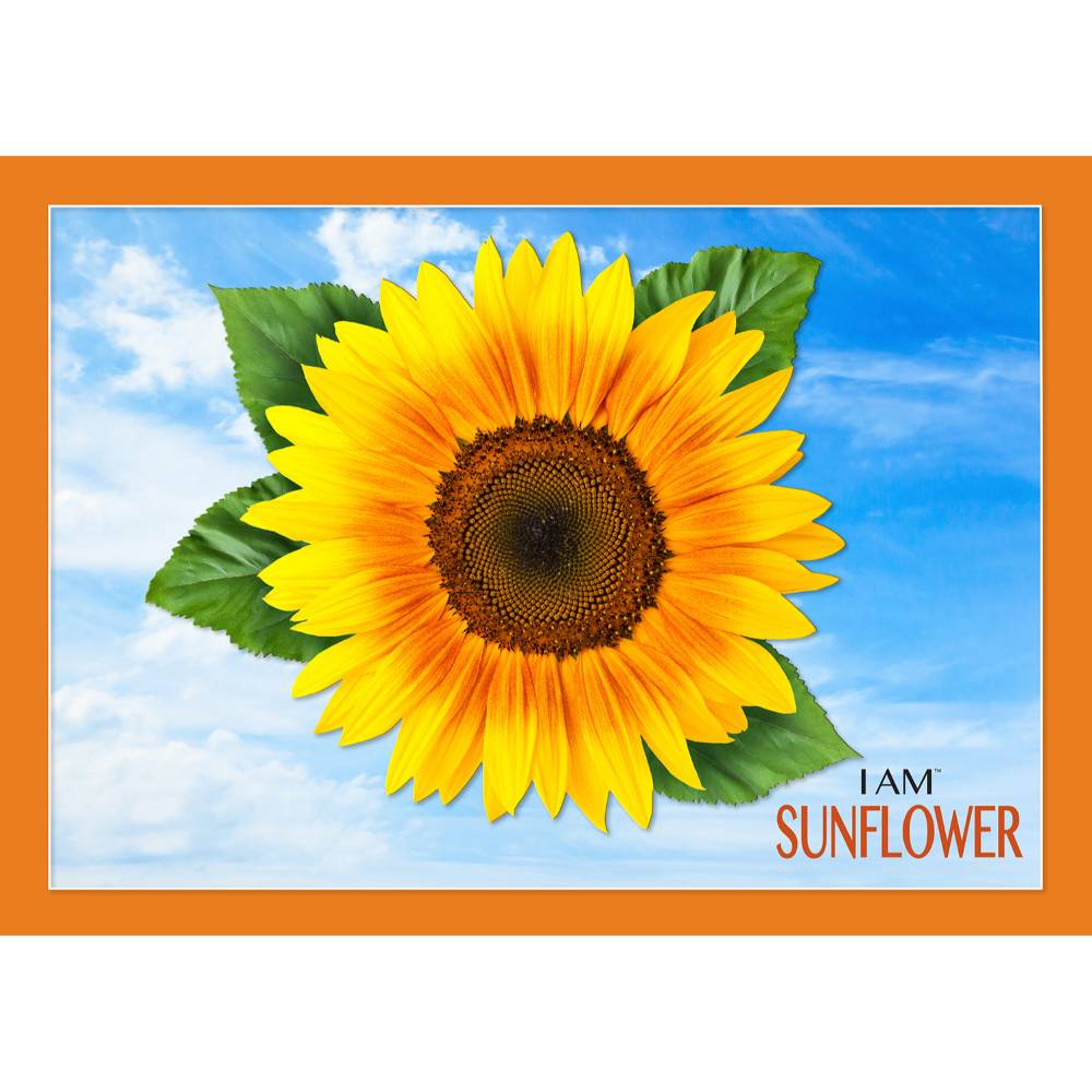 Bright yellow sunflower with detailed petals and green leaves against a blue sky in puzzles from Toys & Games under $50 collection