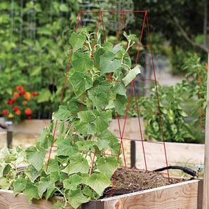 Red heavy-duty wire A-frame plant support holding climbing plants in raised garden bed for outdoor living and lawn care