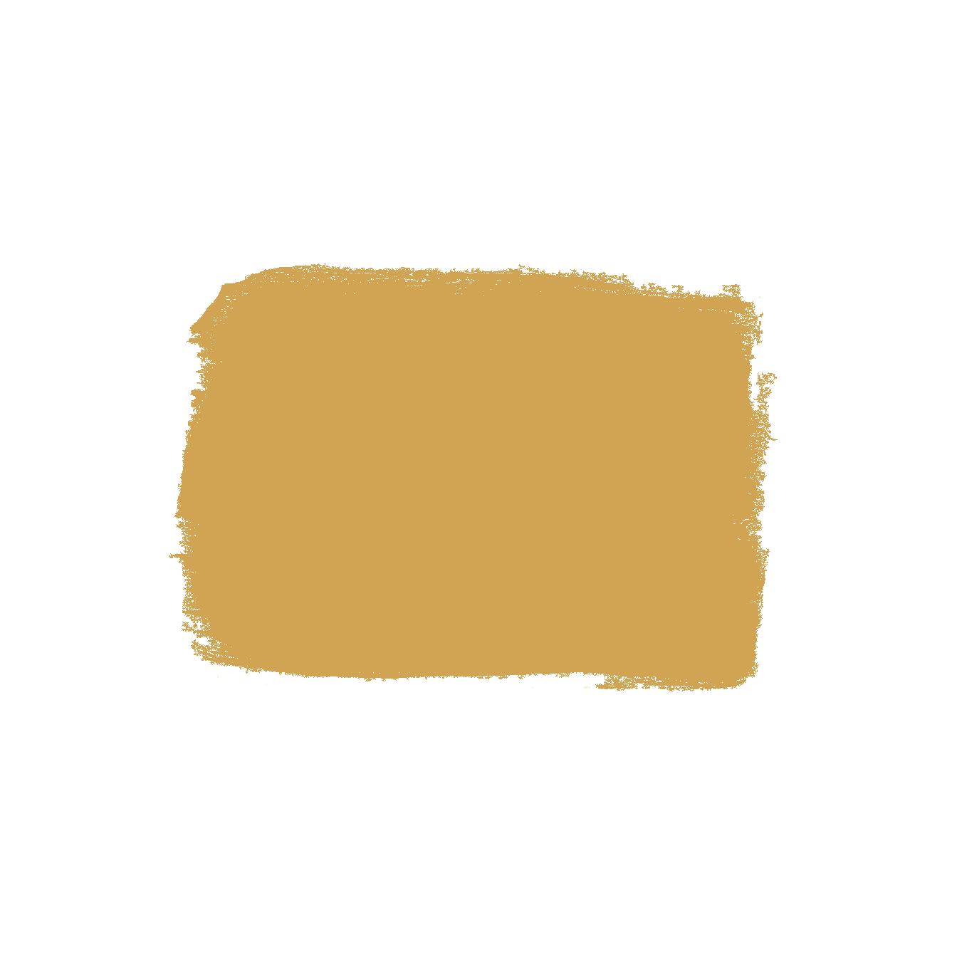 Swatch of warm soft yellow acrylic latex paint from specialty paint collection for home improvement projects under $50