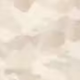 fossil_tan_camo
