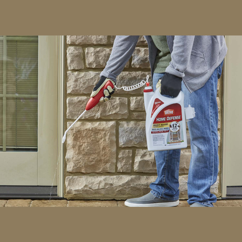 Person applying insect treatment along exterior stone wall with handheld wand sprayer for home pest control.