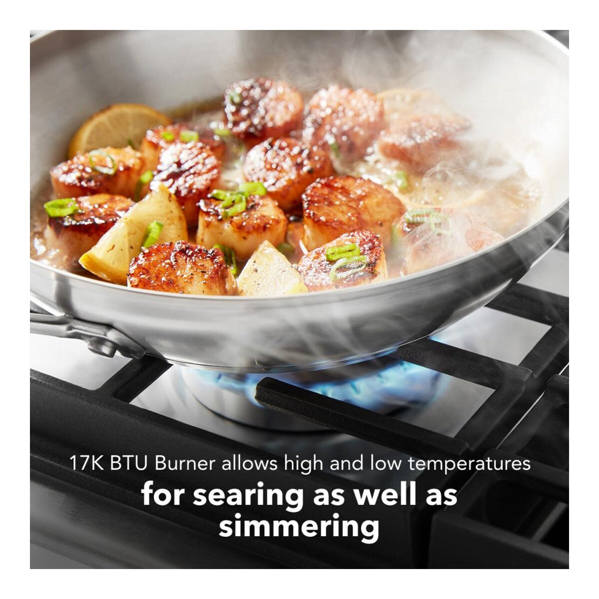 30" 4 Burner Gas Downdraft Cooktop