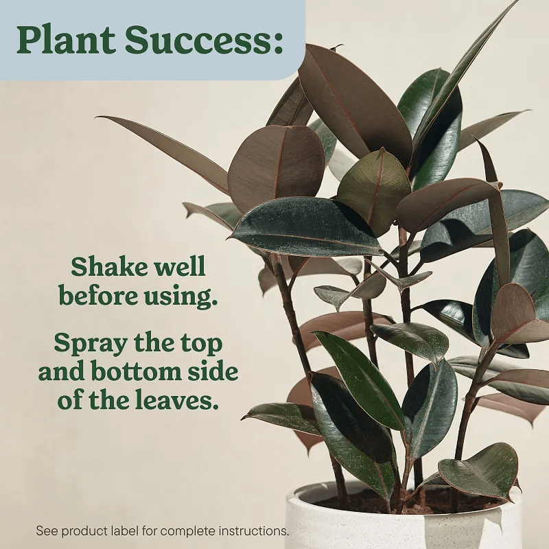 Miracle-Gro 8 Oz. Leaf Protect and Shine