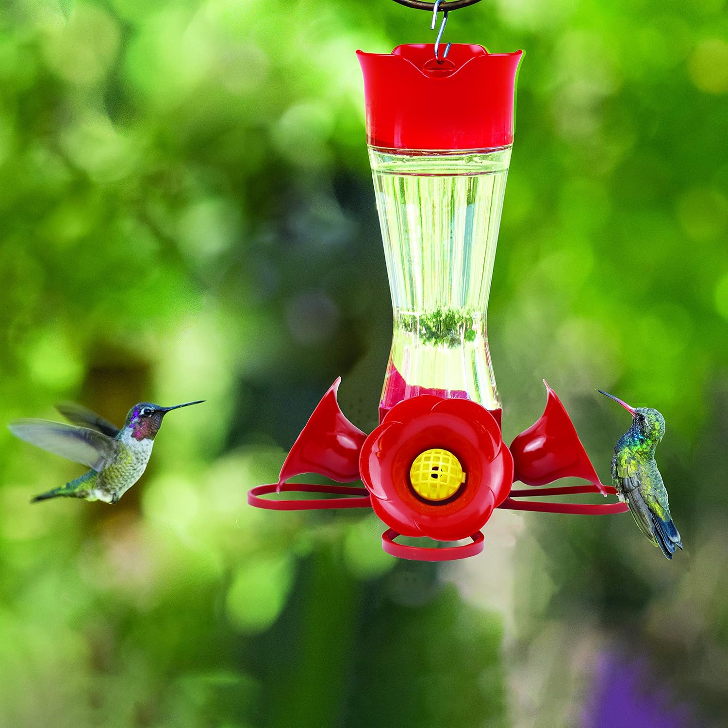 Glass hummingbird feeder with red feeding ports attracting two hummingbirds in green garden setting from bird feeders collection