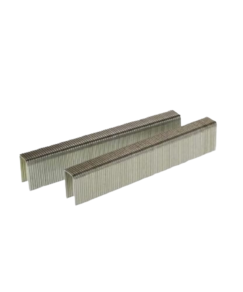 Two rows of galvanized steel staples for fasteners in Hardware and Collated Nails collections
