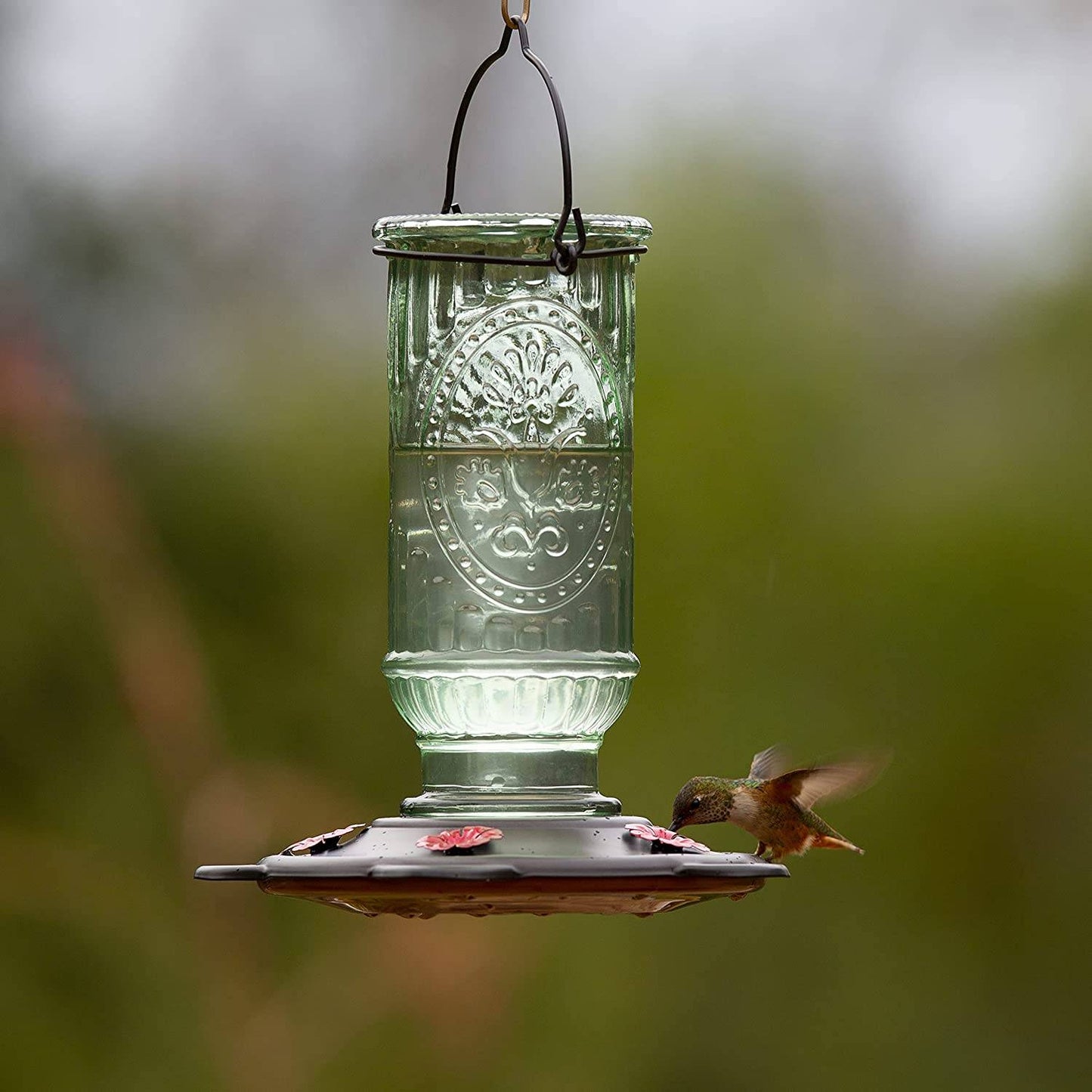 More Birds Vintage Hummingbird Feeder, 20 oz.