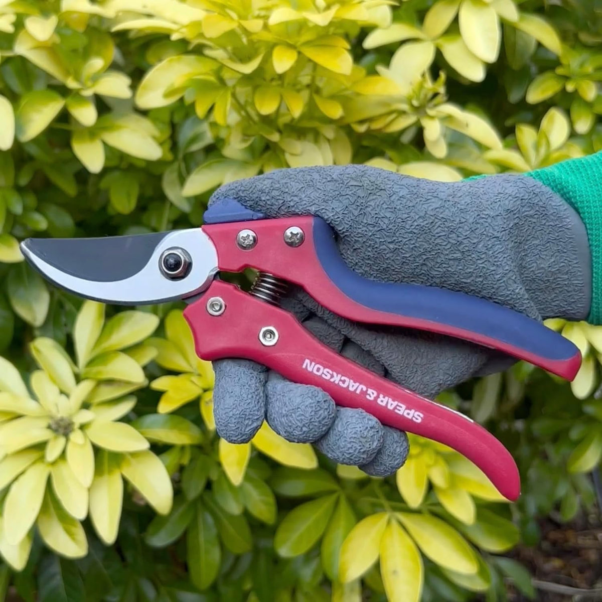 Spear & Jackson Razorsharp Advantage Bypass Secateurs