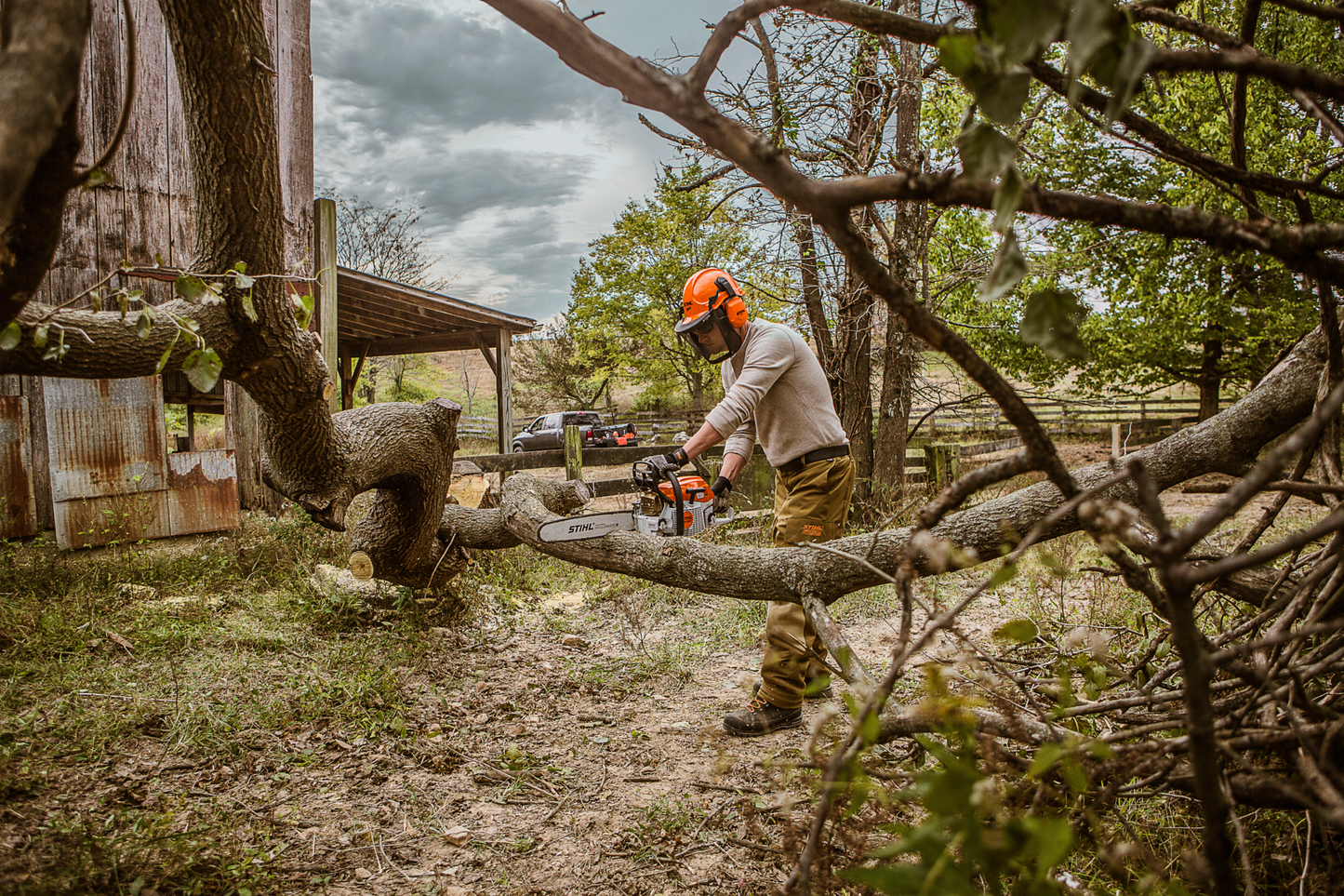 Worker wearing protective gear using a gas-powered chainsaw to cut a large fallen tree branch outdoors