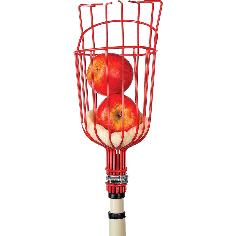 Red enameled steel garden basket fruit picker with firm metal tongs holding two red apples in hand tools collection