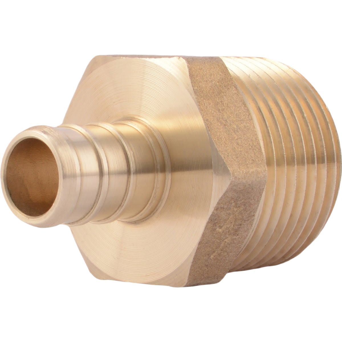 Brass PEX adapter with male threaded end for plumbing applications in Pipes & Fittings and Home Improvement collections