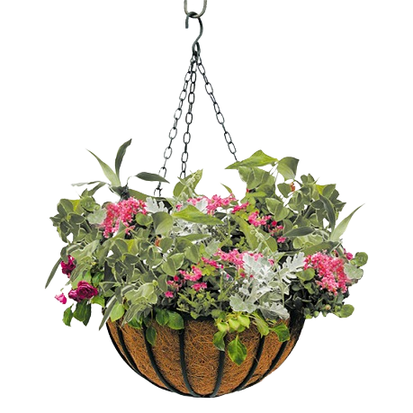 Hanging basket with coco liner filled with mixed green foliage and pink flowers for outdoor living and garden decor