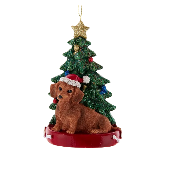 Brown dachshund wearing Santa hat sitting by decorated Christmas tree ornament with gold star topper