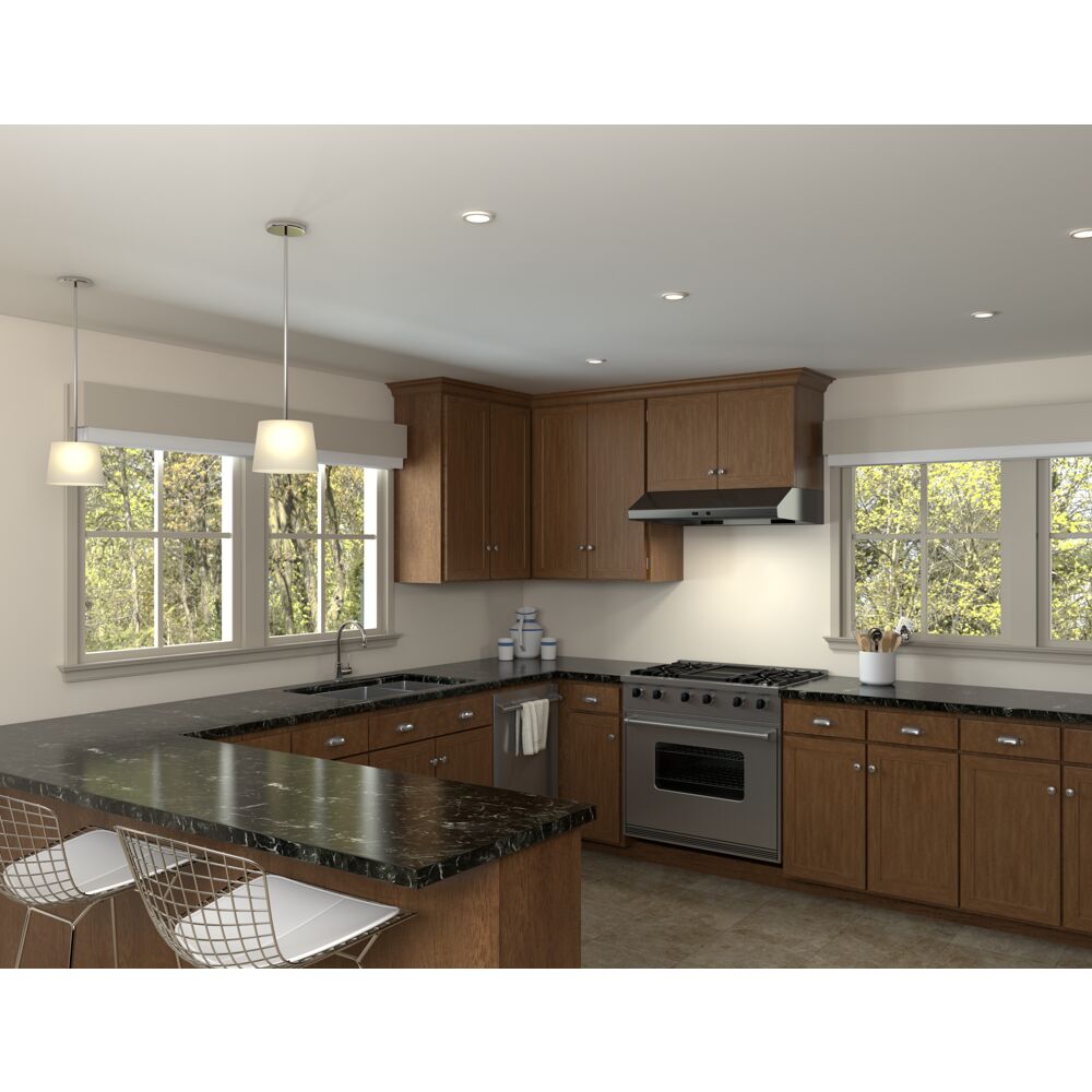 Cyclone Under Cabinet Hood 30" LED