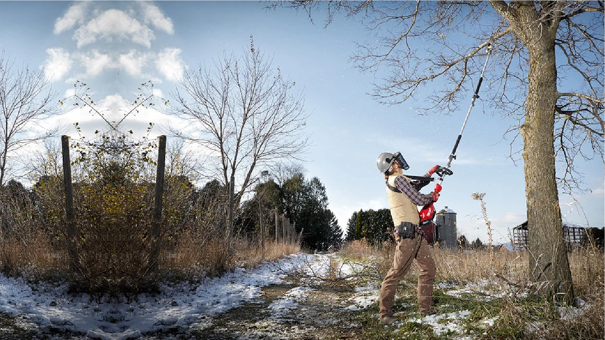 Safely trim trees with a Milwaukee 10” Pole Saw.