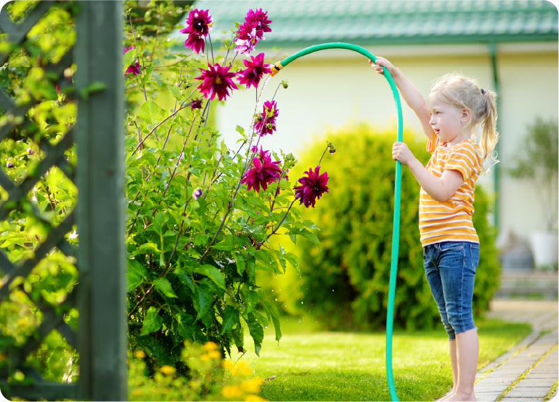 Create Summer Showers