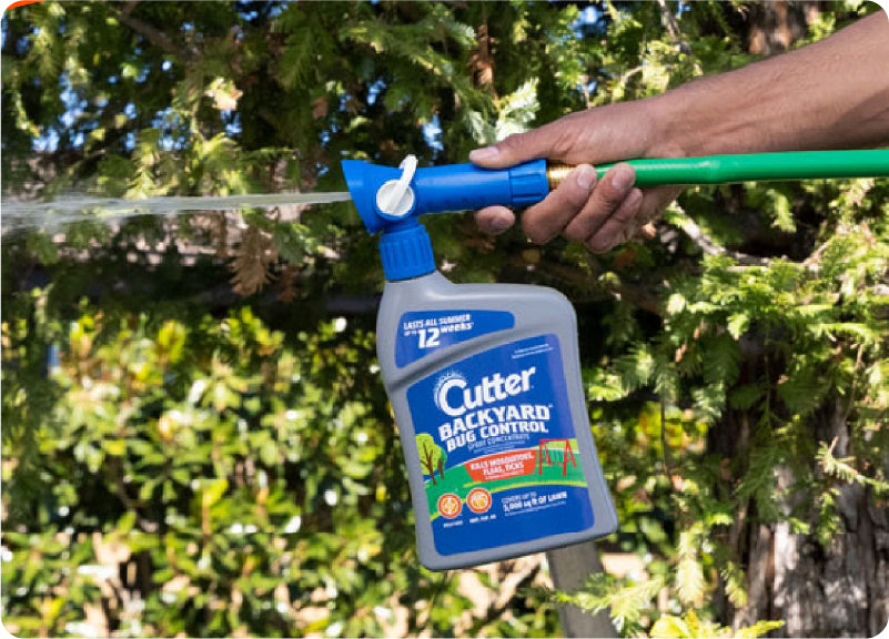  Protect Loved Ones from Pests