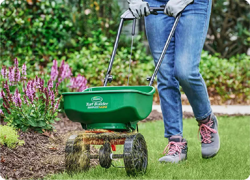 Help Your Yard Thrive