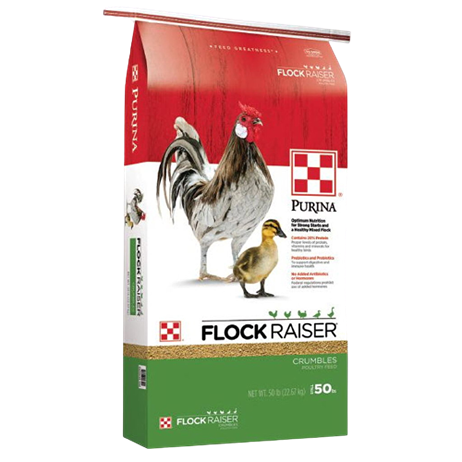 50-pound bag of Purina Flock Raiser crumbles poultry feed with rooster and chick illustration on packaging