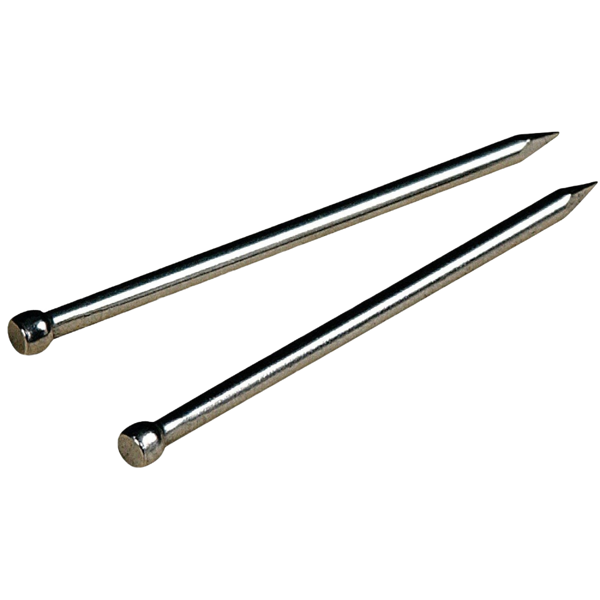 Two silver metal screws with rounded heads and pointed tips for tools and home improvement projects