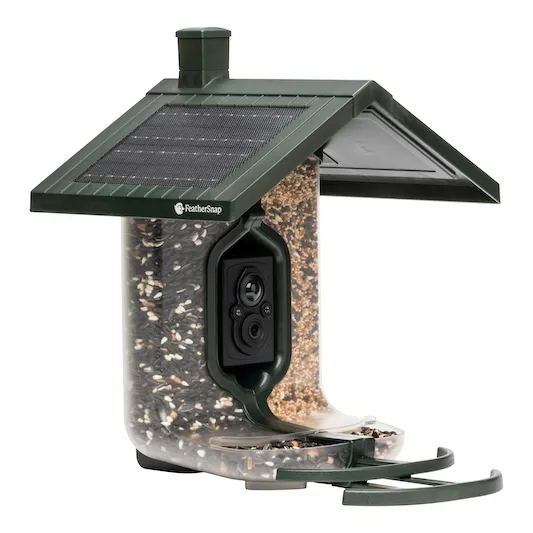 FeatherSnap Camera Bird Feeder