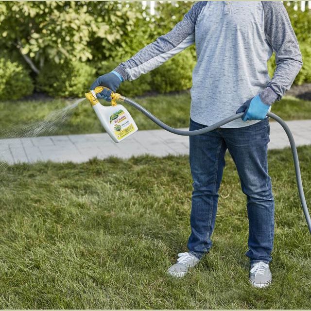 Person wearing blue gloves using hose-end sprayer with liquid weed and feed for lawn care tasks
