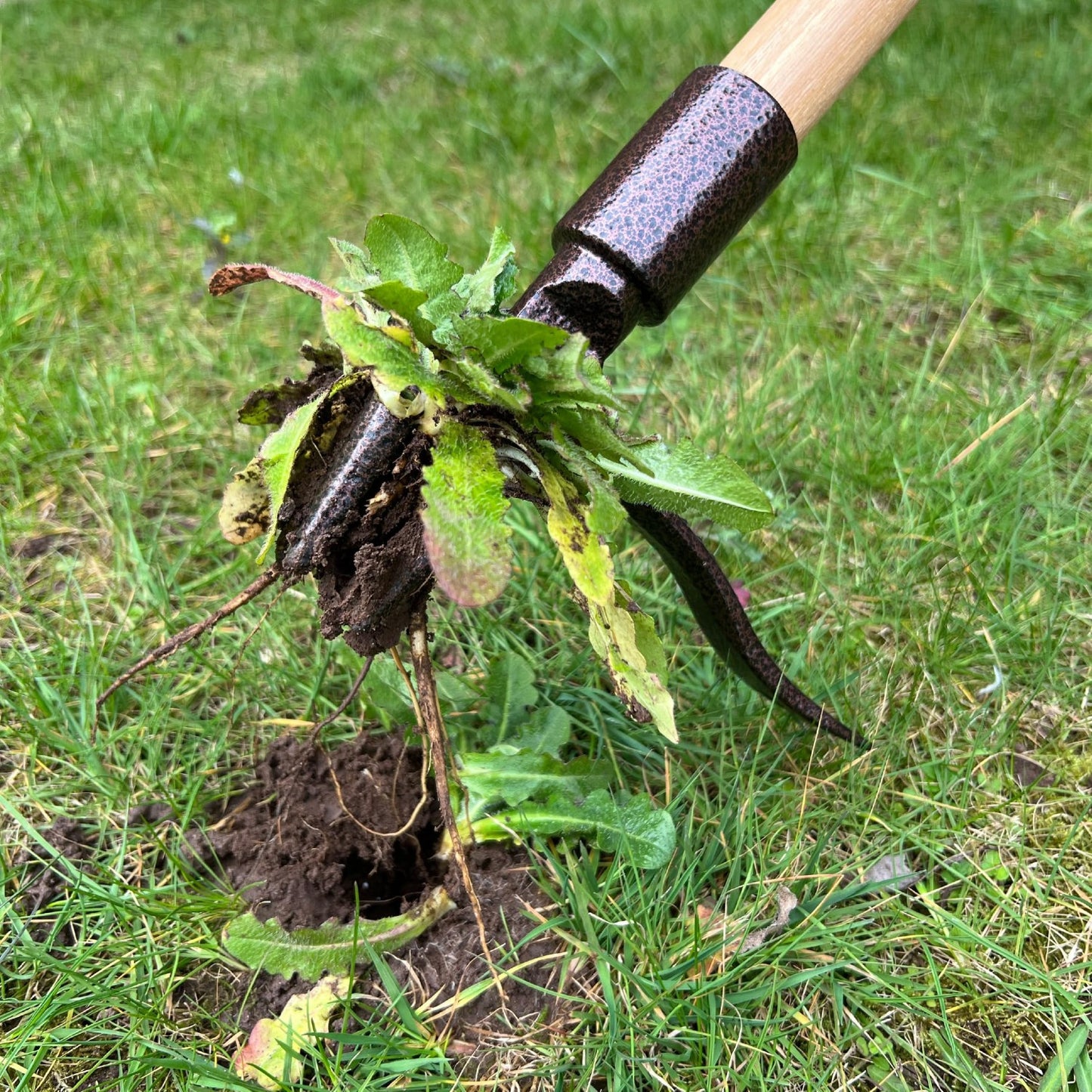 Spear & Jackson Elements Traditional Weeder