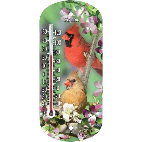 Outdoor window thermometer featuring male and female cardinals perched among flowering branches in green background