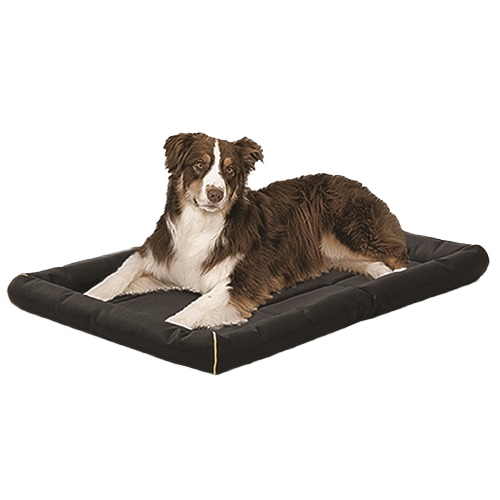 Soft black rectangular rugged pet bed with cushioned sides and a medium-sized dog lying on top
