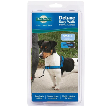 Small dog wearing blue and black no-pull harness standing on pavement next to person’s legs outdoors