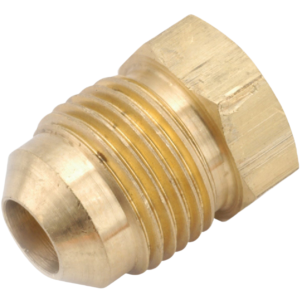 Brass flare plug with threaded design for secure plumbing connections in Pipes & Fittings and Home Improvement collections