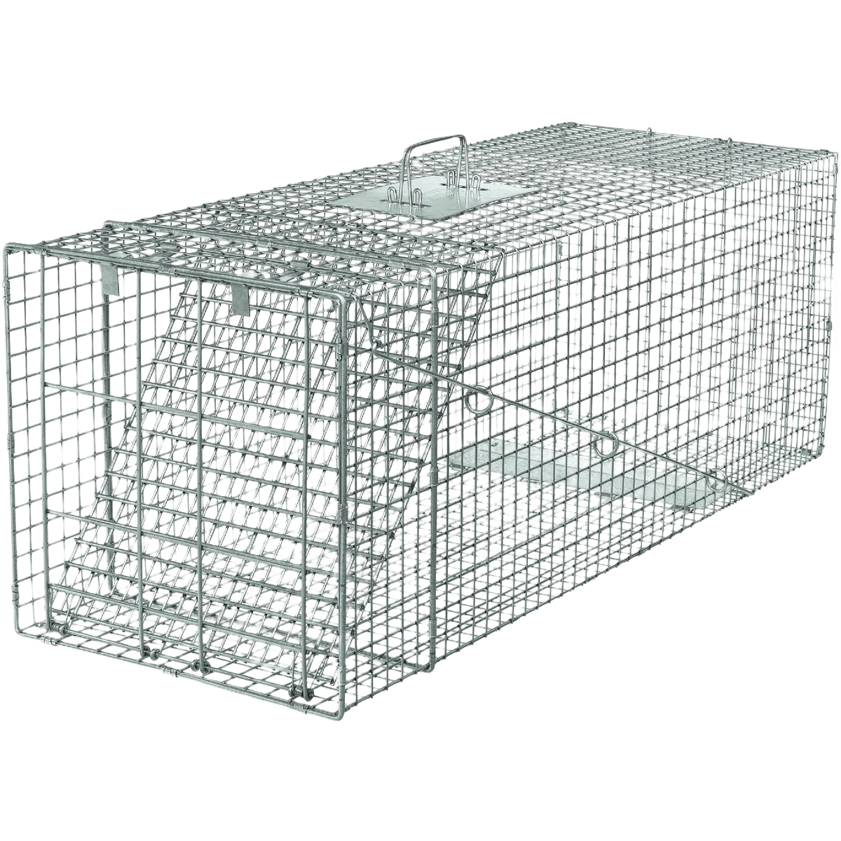 Extra-large galvanized steel wire live animal trap with spring-loaded door for pest control and lawn use