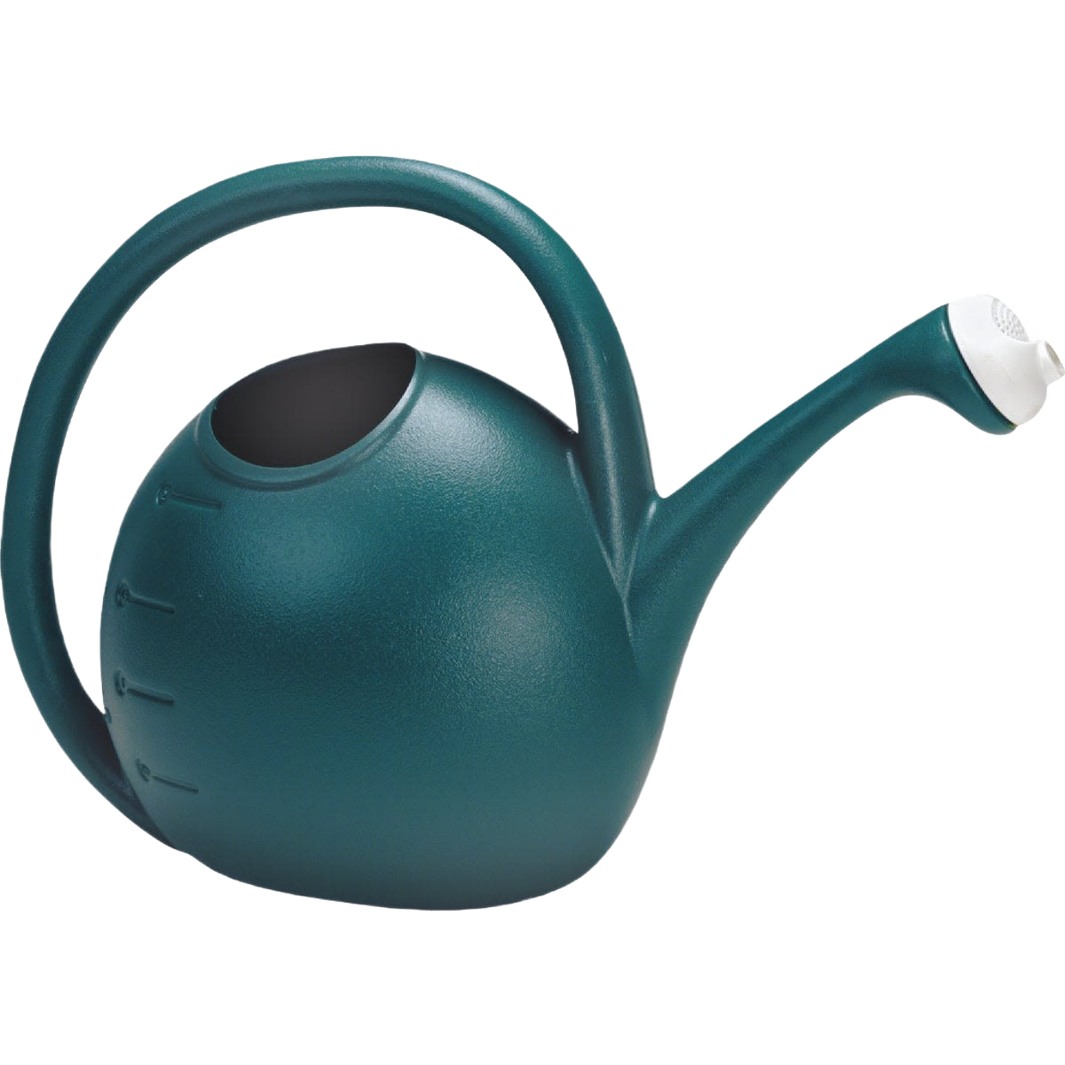 Teal plastic watering can with ergonomic handle and fine spout for lawn and garden watering under $50 collection