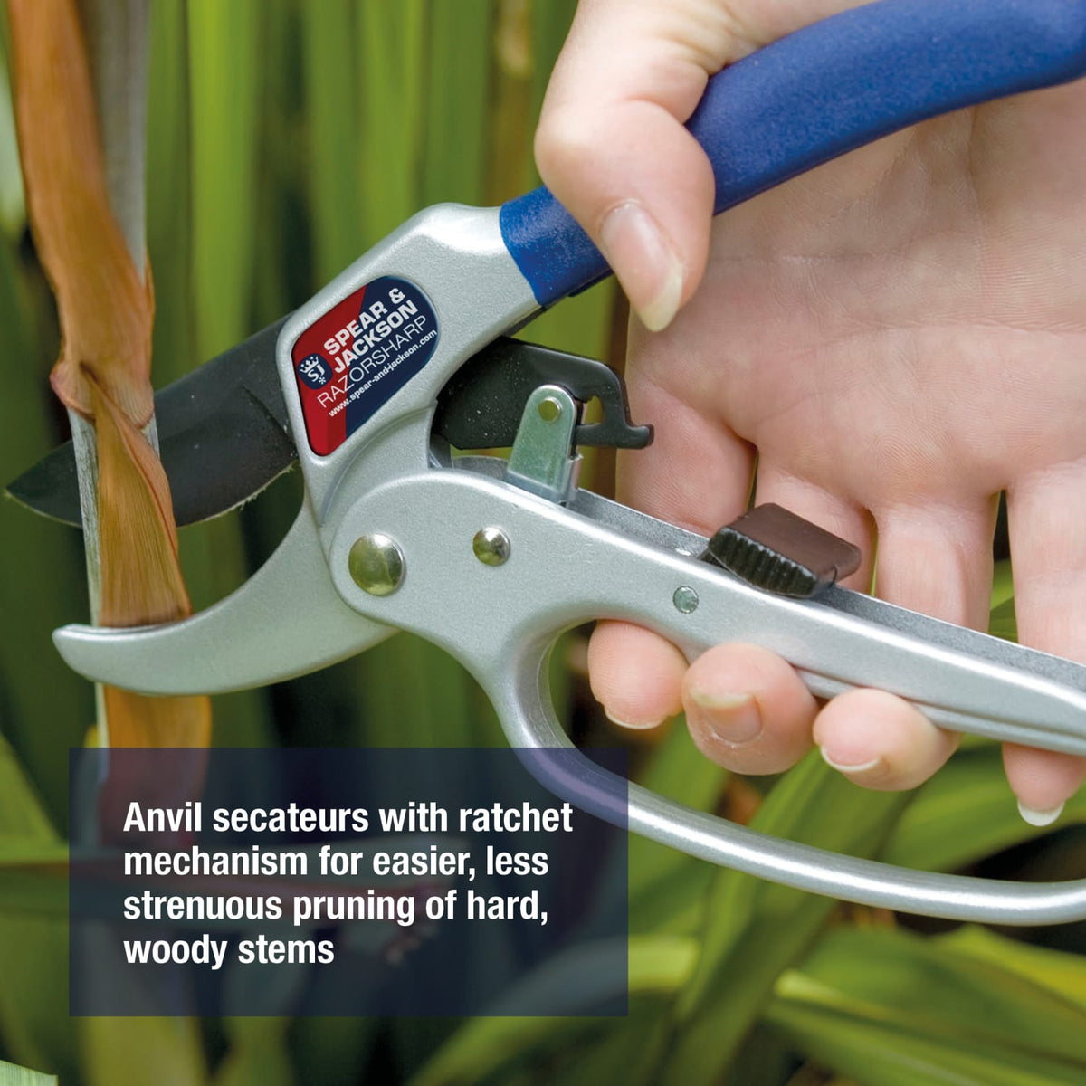 Spear & Jackson Advance Ratchet Secateurs