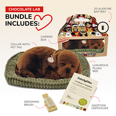 Realistic chocolate lab plush puppy resting on green plush bed with pet tag, grooming brush, adoption certificate, and colorful carrier box