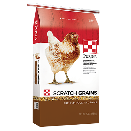 Bag of Purina Scratch Grains poultry feed with chicken image and red and brown packaging for home improvement use