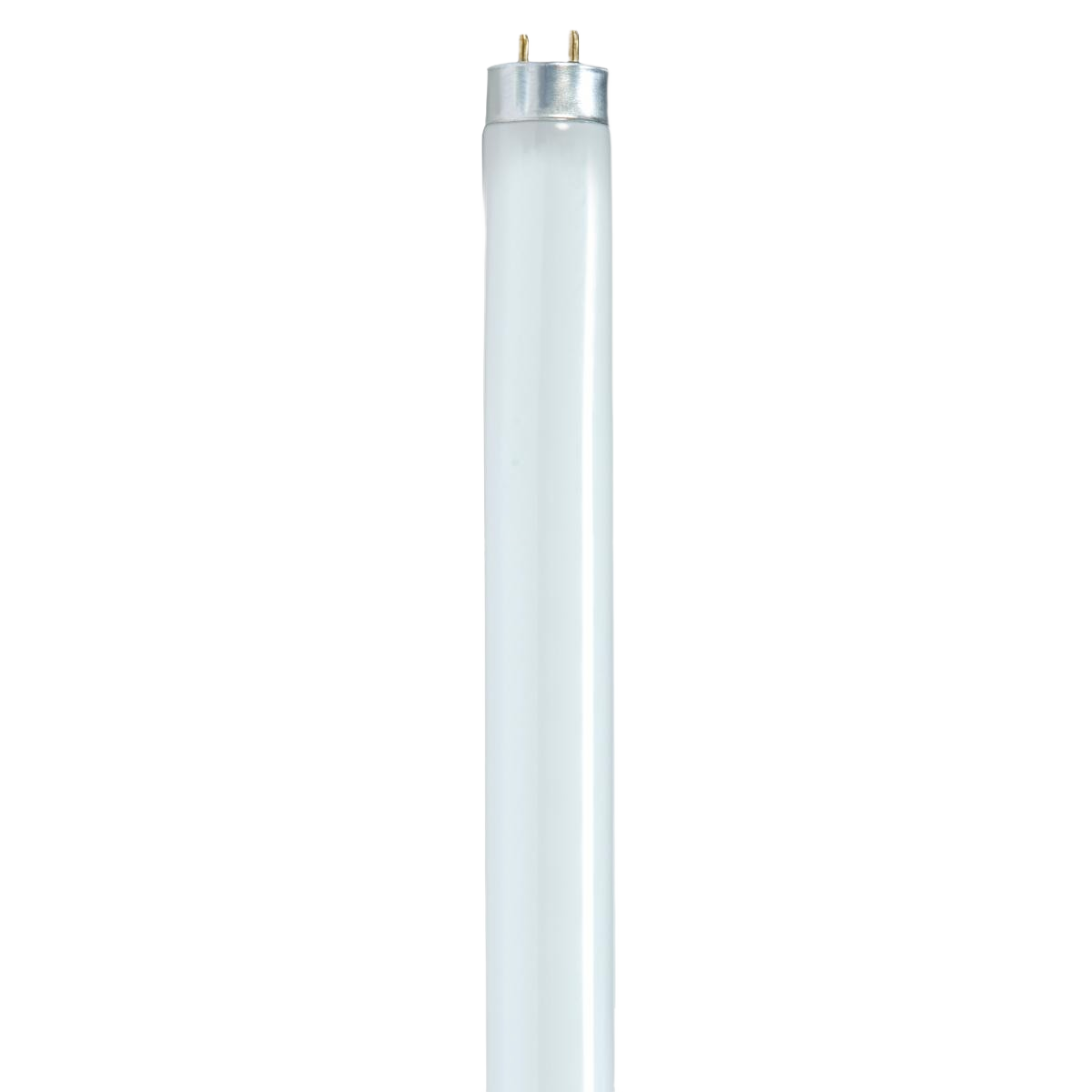 32 watt T8 fluorescent light bulb with medium bi-pin base for energy-efficient lighting in home improvement collections under 50 dollars