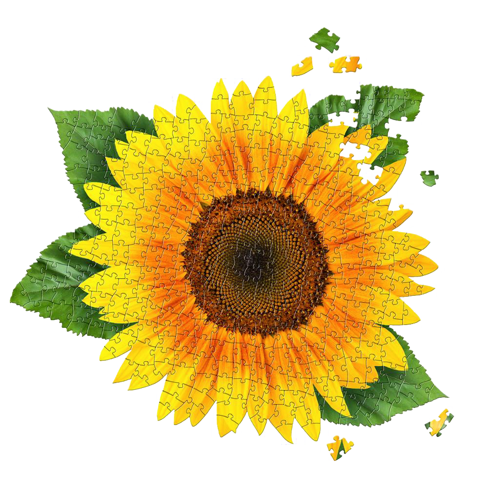 Partially assembled 350-piece sunflower jigsaw puzzle with bright yellow petals and green leaves from Puzzles collection under $50