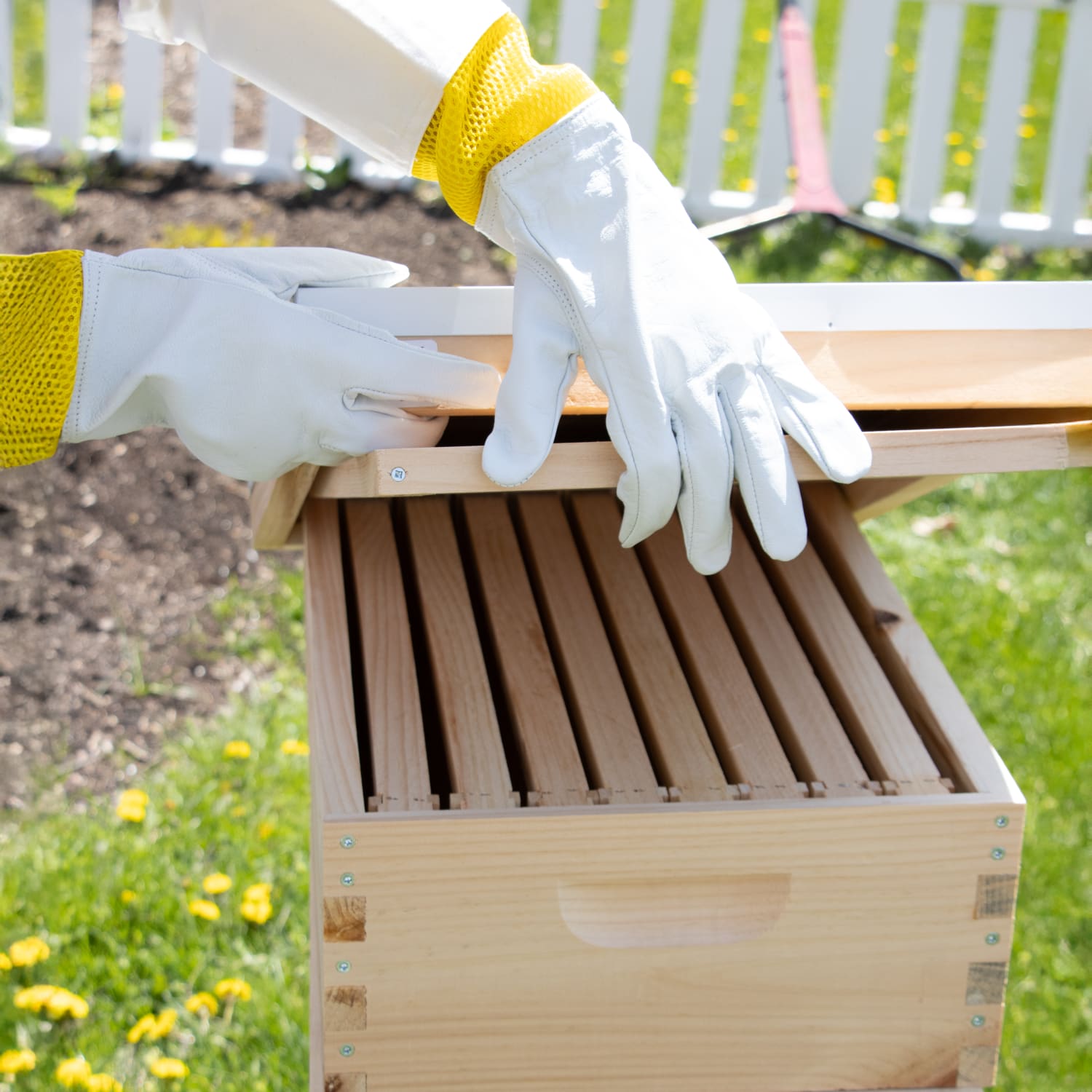 White goatskin gloves with yellow mesh cuffs protecting hands while handling beekeeping hive frames outdoors