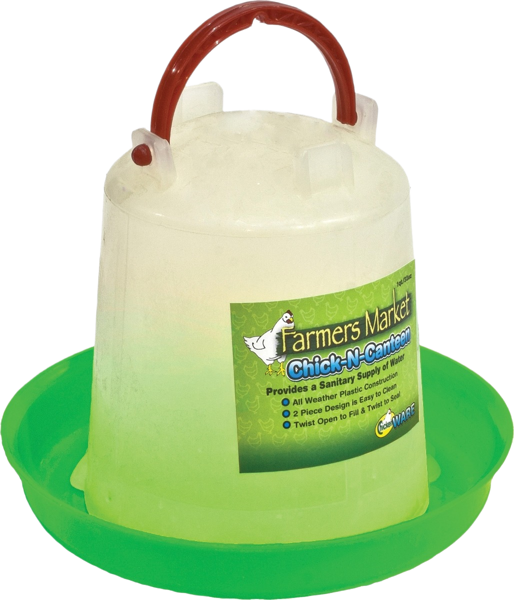 Small translucent plastic waterer with red handle and green base for poultry hydration in farm and home use