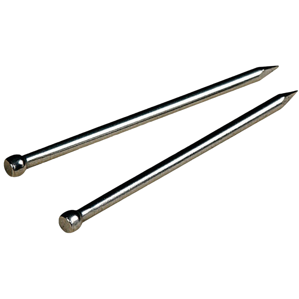 Two shiny metal cap screws with round heads for fastening in hardware and fasteners collections
