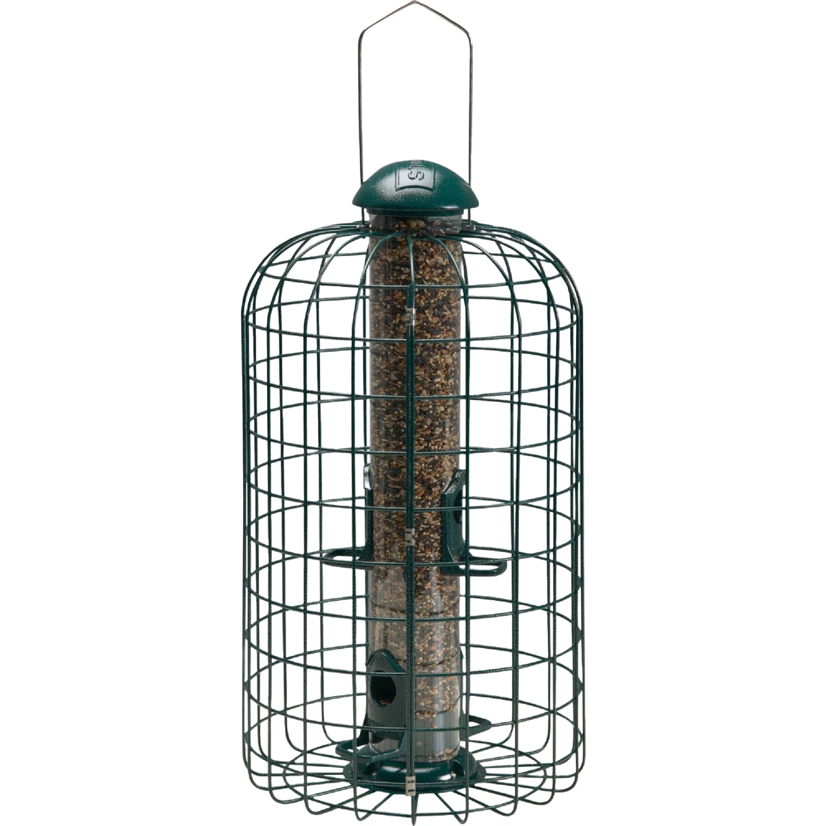 Green wire bird feeder cage designed to prevent squirrel access while feeding backyard birds safely