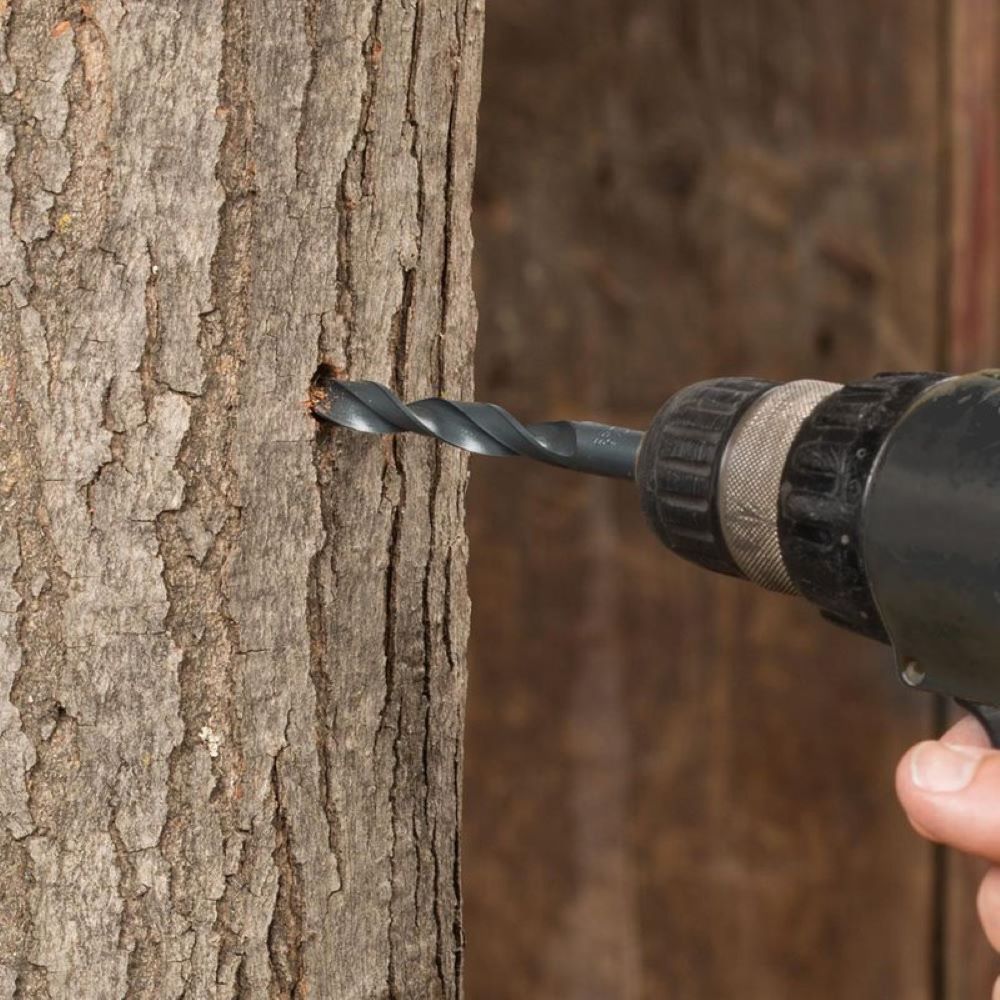 Power drill with 7/16 inch drill bit boring a hole into tree bark for home improvement projects
