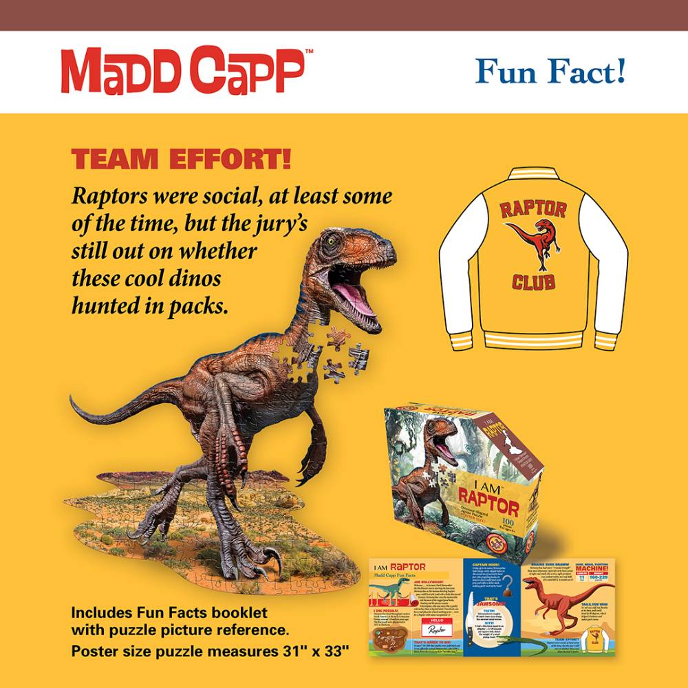 Illustration of raptor assembling a puzzle with packaging and fun fact booklet from Toys & Games Puzzles collection under $50