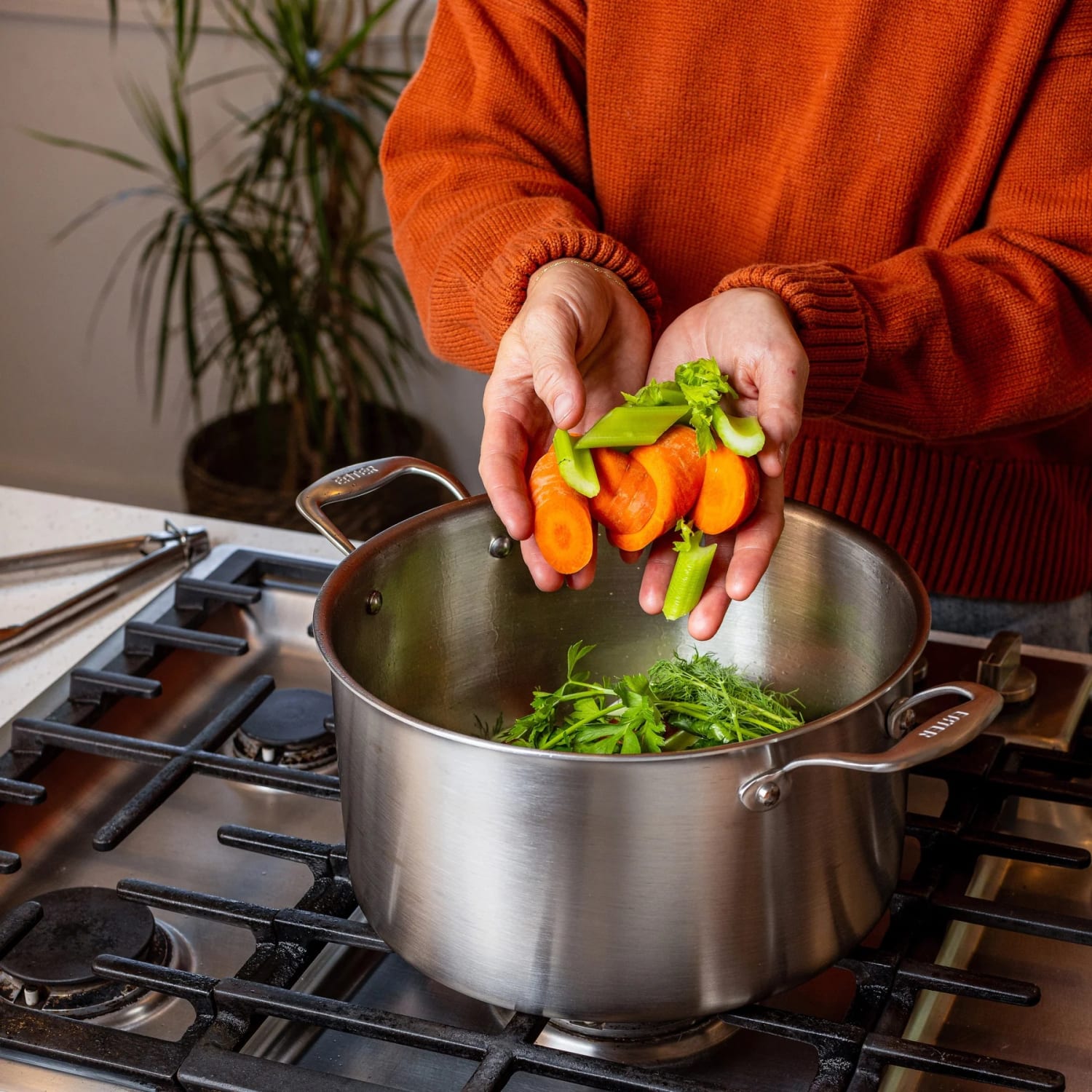 Person adding fresh vegetables to stainless steel stock pot on gas stove in kitchenware collection