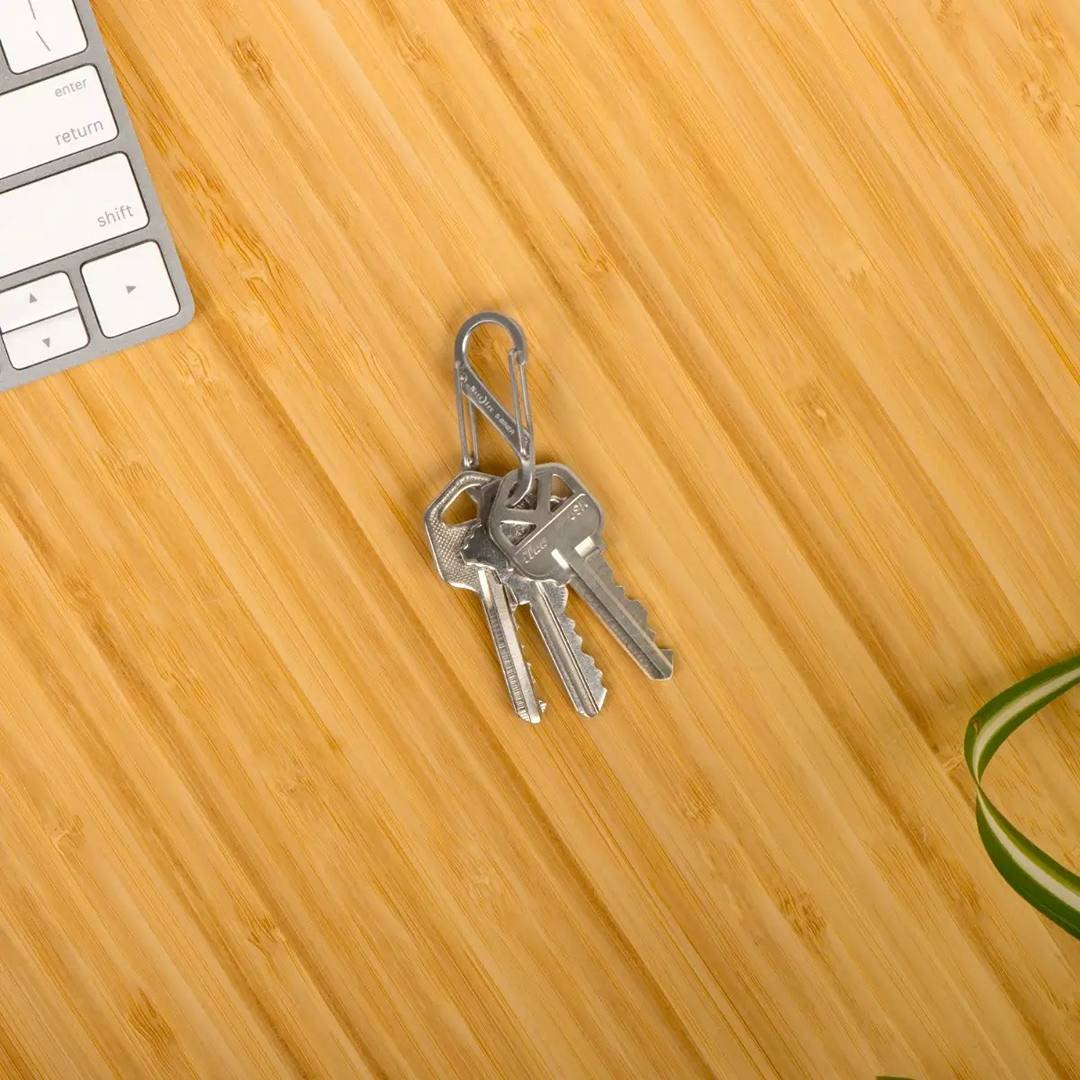 Stainless steel dual-gated carabiner clip holding keys on wooden surface in hardware and storage collections under $50