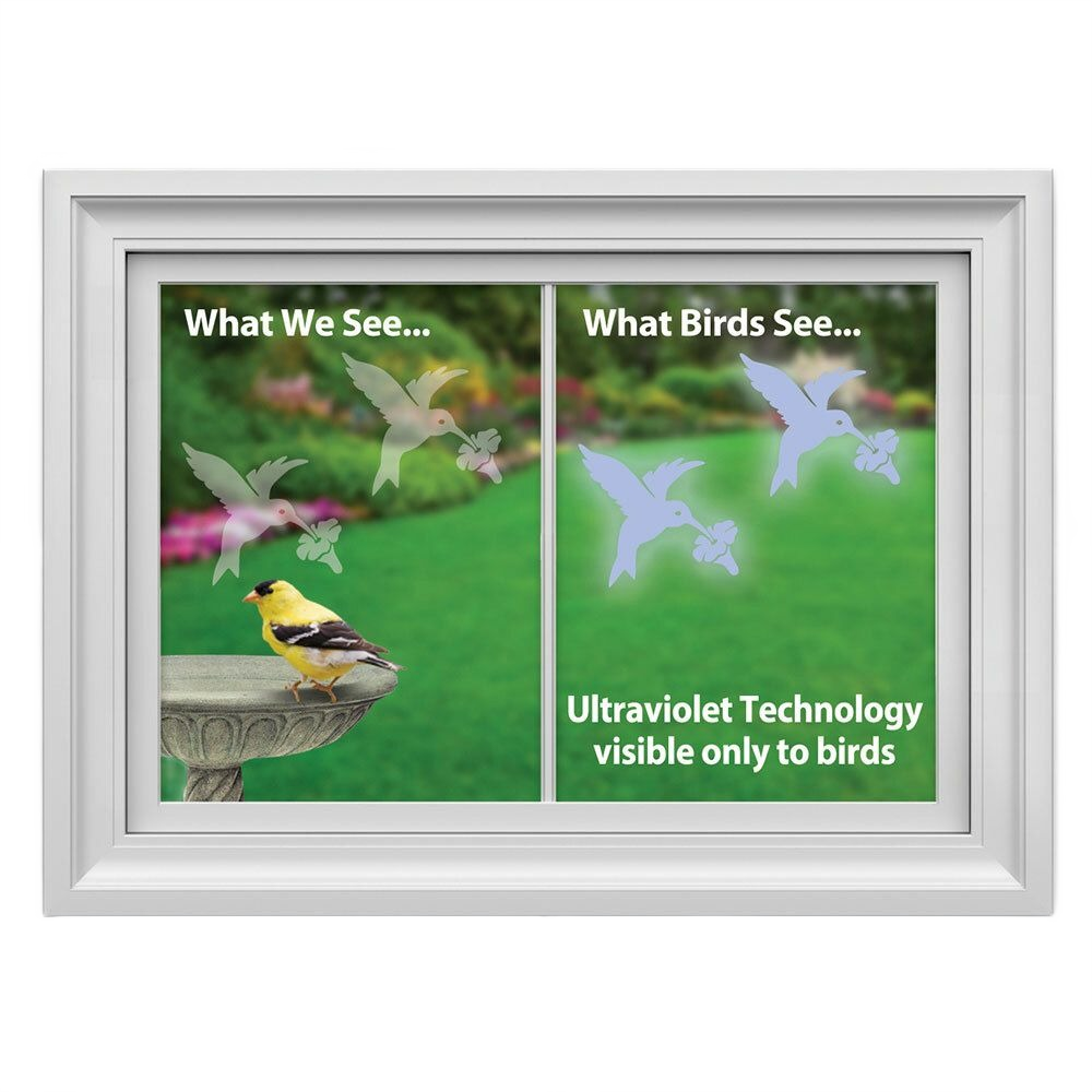 Comparison of window view with visible birds and ultraviolet hummingbird decals visible only to birds on glass pane