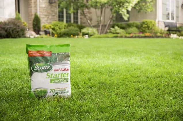 Bag of Scotts Turf Builder starter fertilizer standing on a healthy, green lawn in a residential yard setting