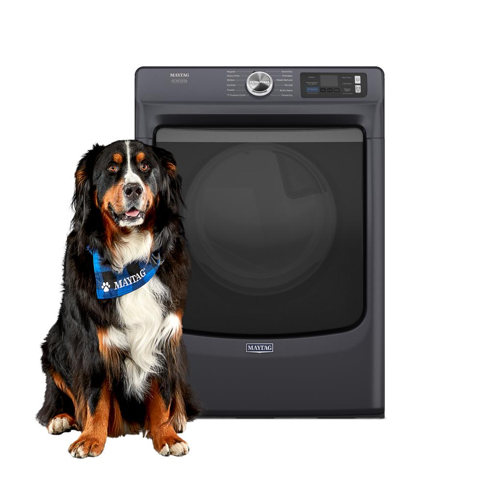 Smart Pet Pro Front Load Electric Dryer - 7.4 CU. FT.