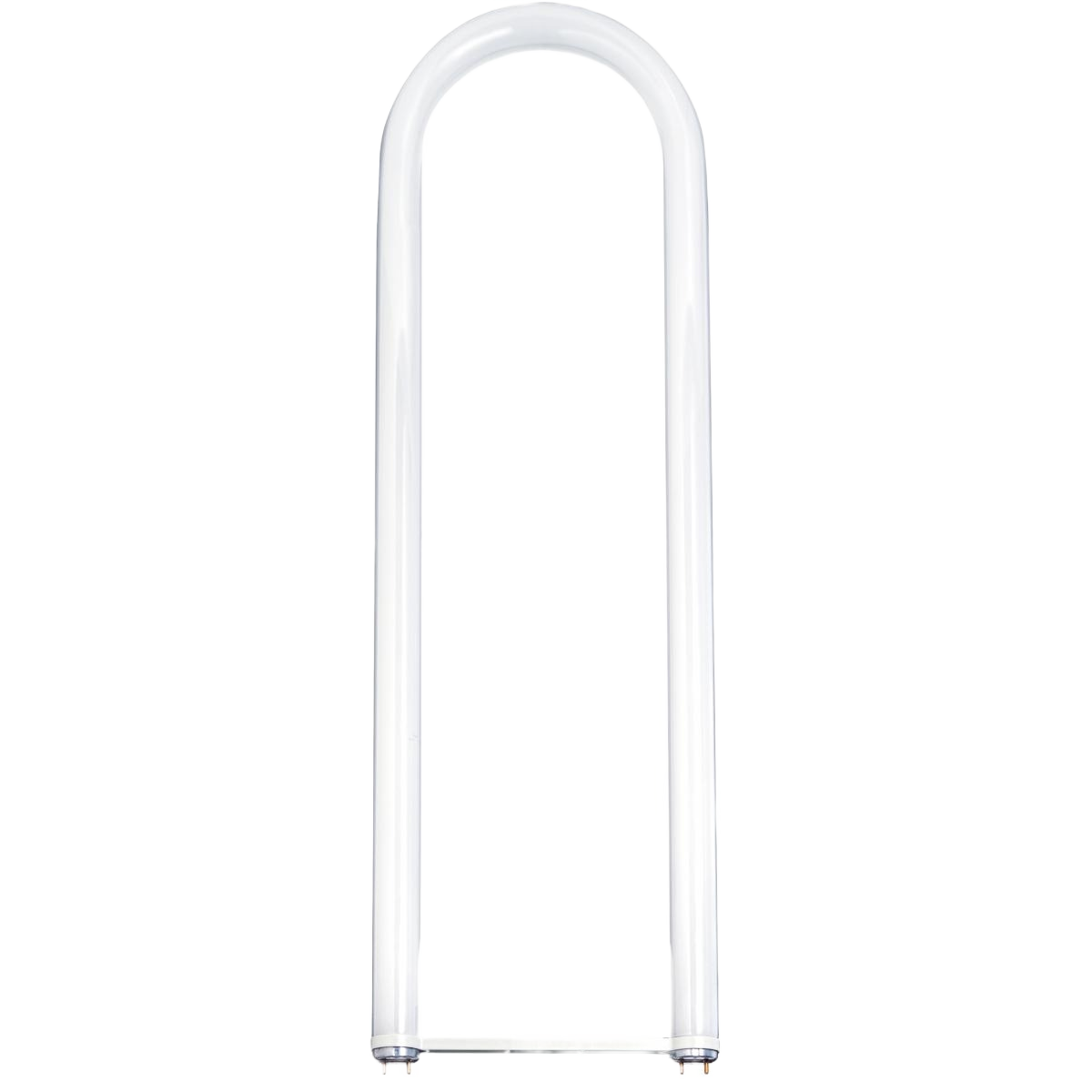 U-bend T8 fluorescent lamp with medium bi-pin base offering white light for indoor lighting and electrical projects