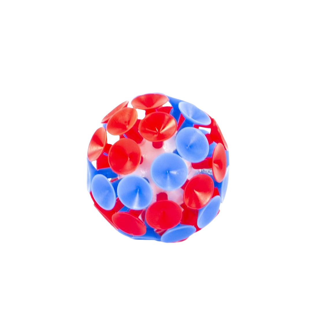 Spherical toy ball covered with alternating red and blue suction cups for interactive play and sensory stimulation